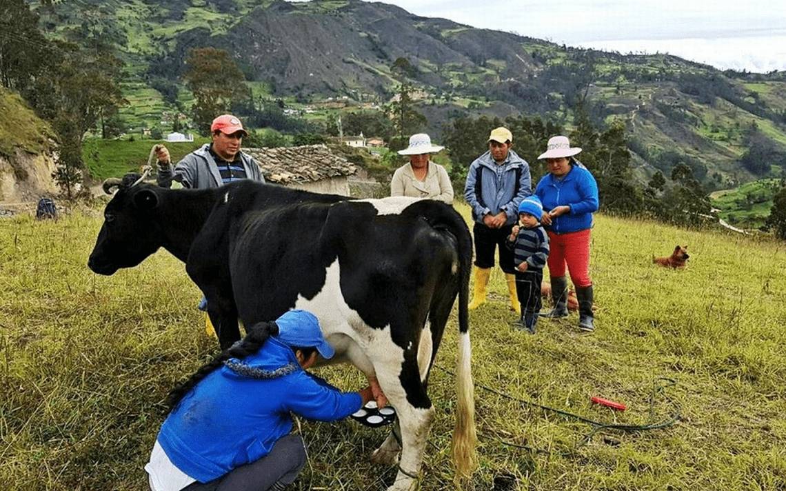 En que consiste la ganaderia